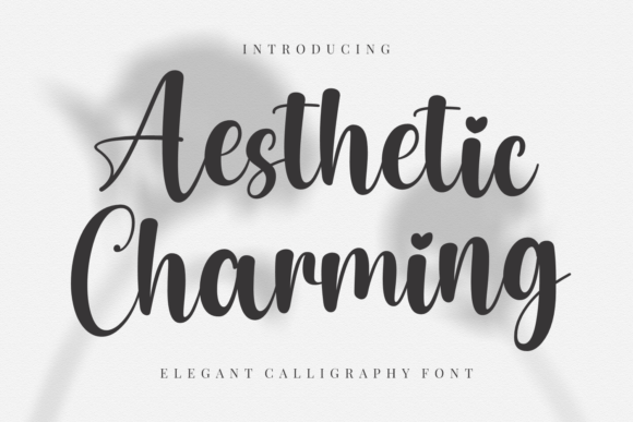 Aesthetic Charming: The Elegant Script Font for Modern Web Design