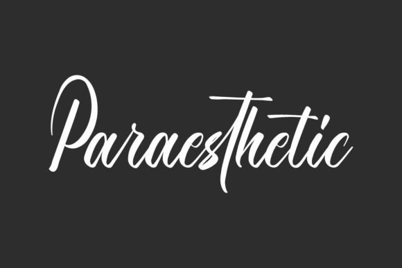 Paraesthetic: A Breathtaking Script Font for Crafters and Product Designers